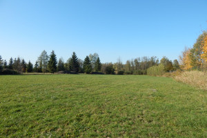 Żabia Wola