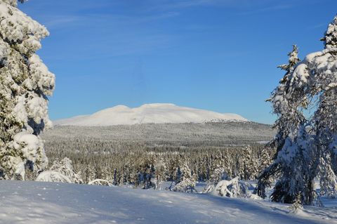 Trysilsætra 19, Trysilsetra, Trysil., Trysil