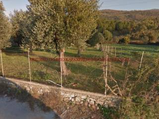 Paravola,  GR