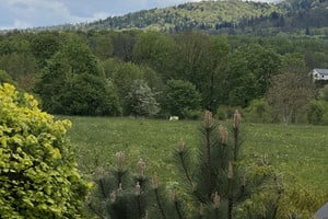 Jaworze