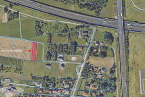 Tarnów