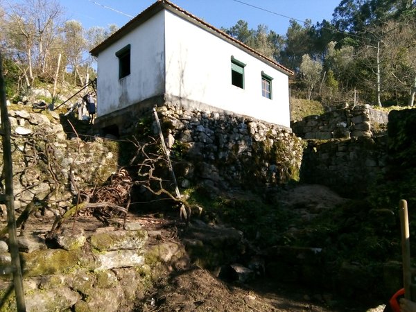 Oliveira,  PT