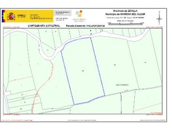 Mairena del Alcor,  ES