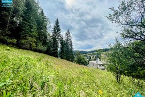 Krynica-Zdrój