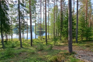 Ala-Ruotimontie, Toivola, Mäntyharju