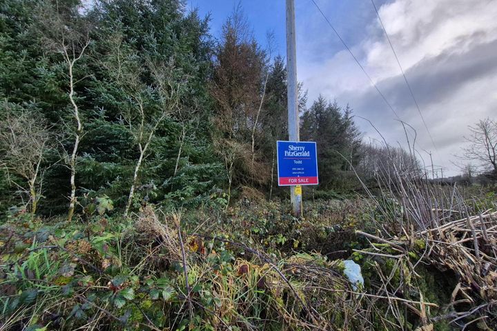 27.13 Acres Of Forestry, Stripe North, Milltown, Tuam, Co. Galway