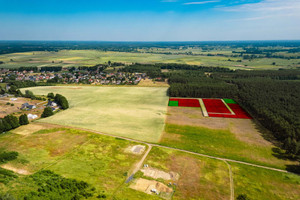 Zielona Góra