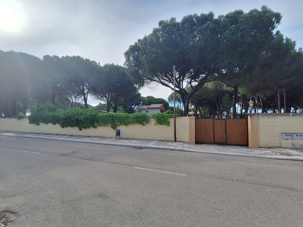 Viana de Cega,  ES