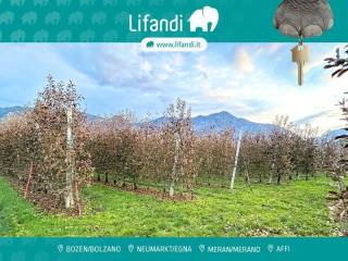 Caldonazzo,  IT