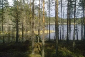 Hakosaarentie , puumala, Puumala