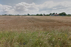 Gorzów Wielkopolski