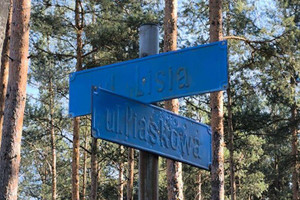Wieliszew