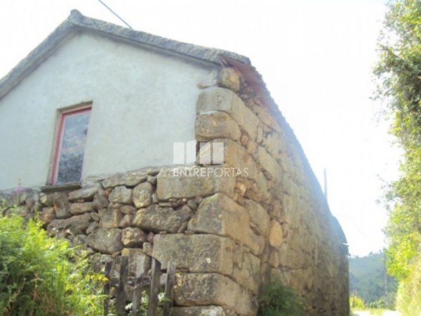 Cinfães,  PT
