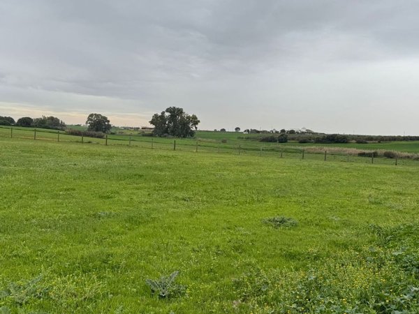 Carmona,  ES