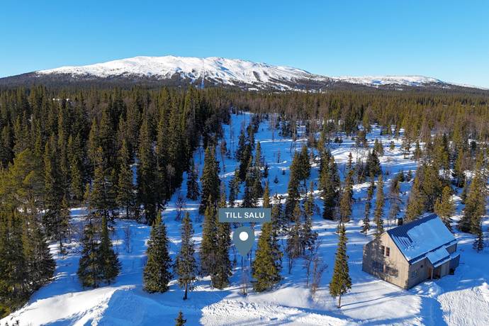 Trillevallen, Åre kommun