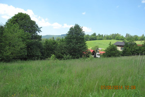 Wisła