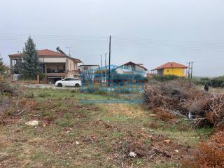 Drama,  GR