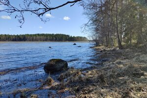 Häränsaarentie, Murakka, Hartola