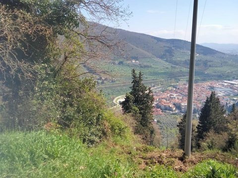 Prato,  IT