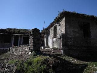 Agria,  GR