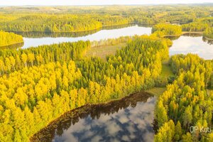 Ohensaarentie, tontti 2, 51200 KANGASNIEMI