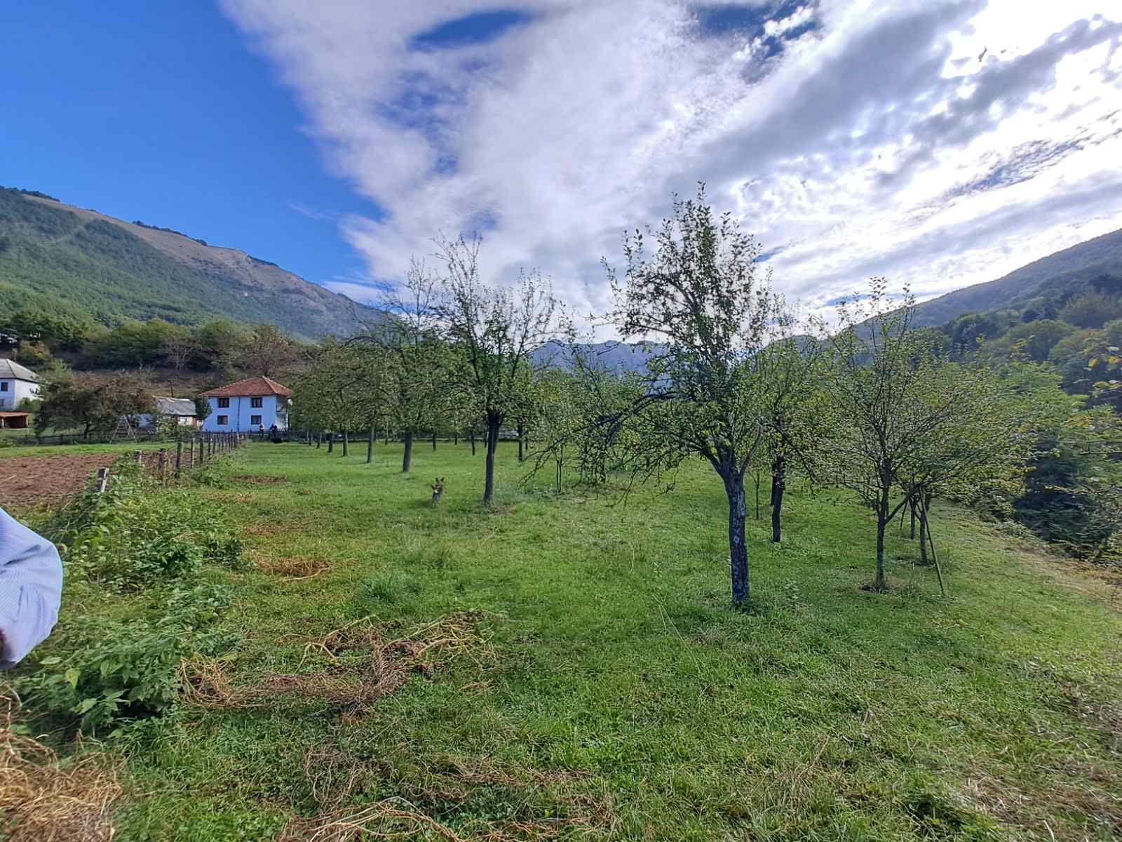 Andrijevica, Seoce