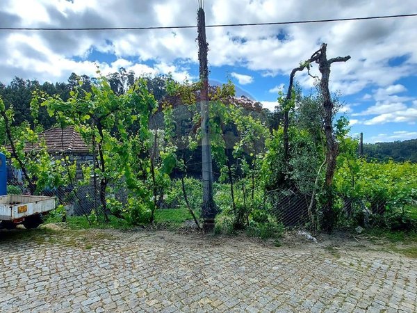 Sendim,  PT