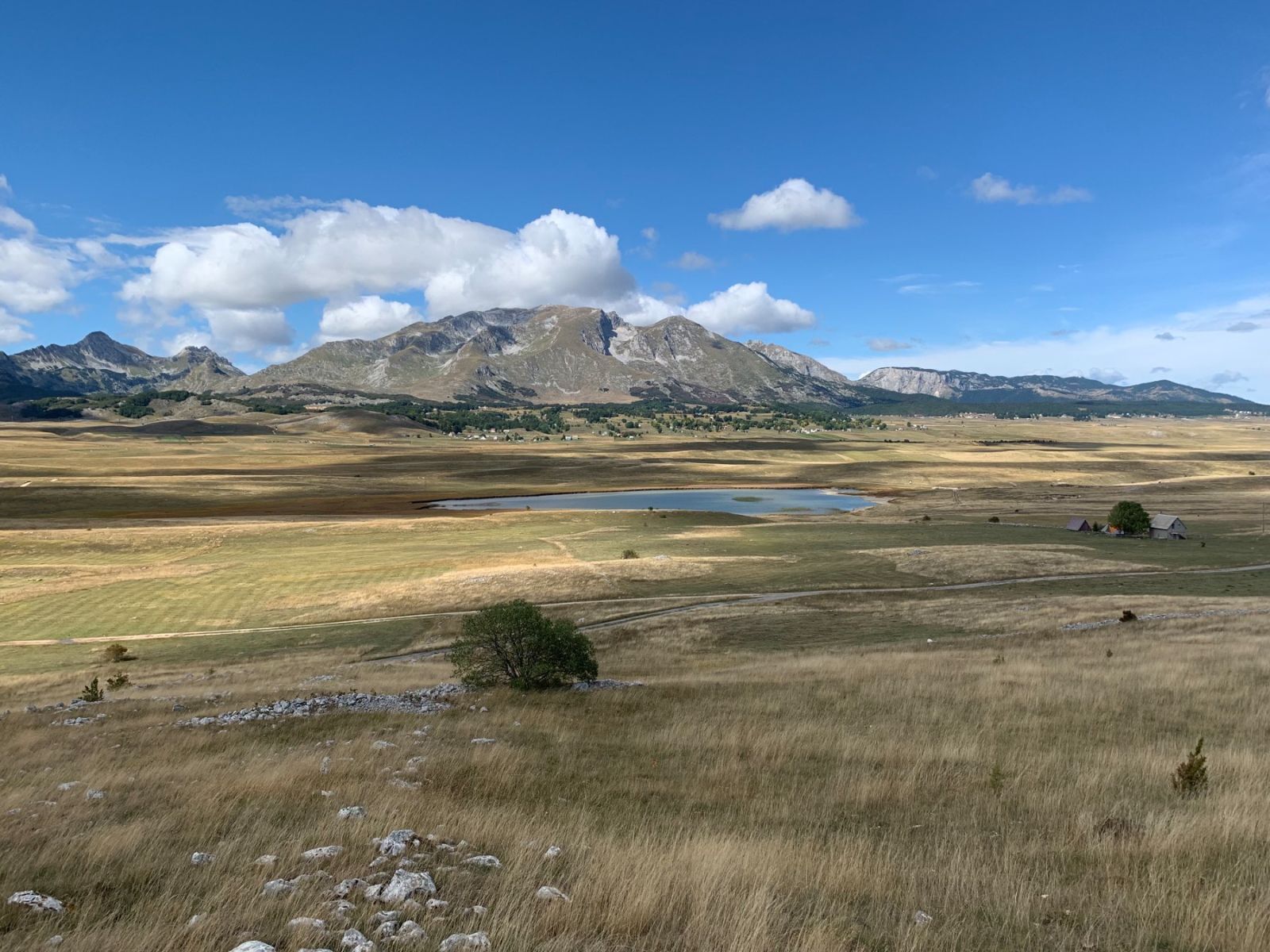 Zabljak, Novakovici
