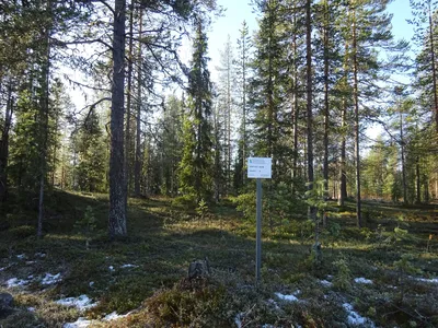 Hiidenpolku, tontti RA 450-3, Äkäslompolo, Kolari