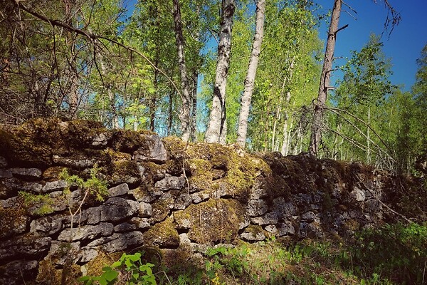plot for sale, land-profit land - Lepiku, Muhu vald, Saaremaa