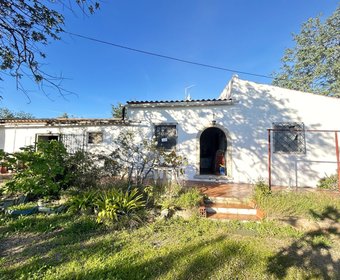 Santa Bárbara de Nexe,  PT