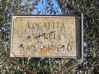 Tuoro sul Trasimeno,  IT