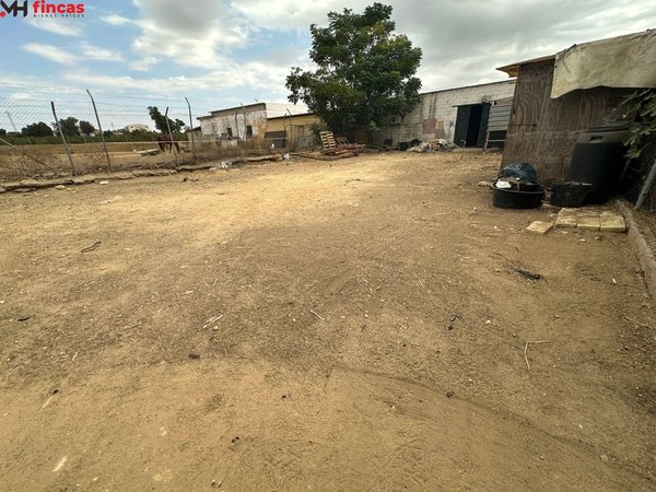 Carmona,  ES