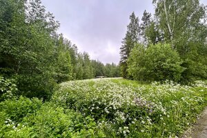 Leppäjärventie 253, 37630 VALKEAKOSKI