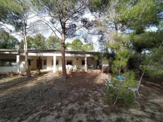 Molina de Segura,  ES