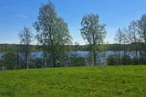 Kalmarin kangastie, Kalmari, Saarijärvi