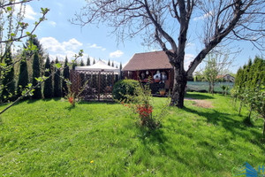 Nowy Sącz