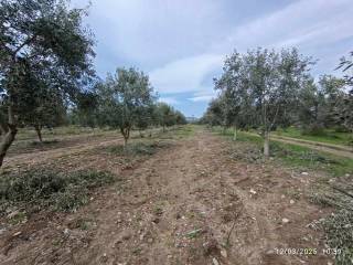Atalanti,  GR