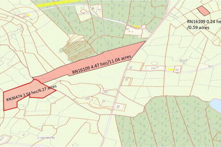 Land At, Fostragh, Keadue, Boyle, Co. Roscommon