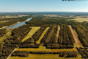 Tarnowskie Góry
