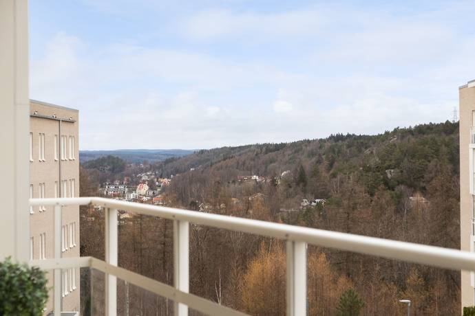 Surte, Ale kommun