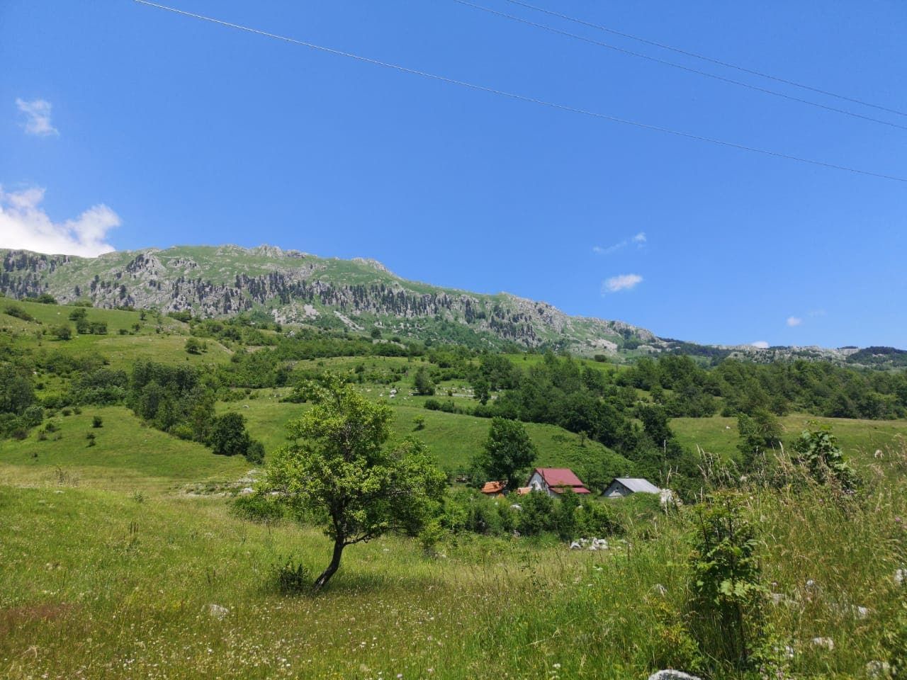 Northern Region, Kolasin