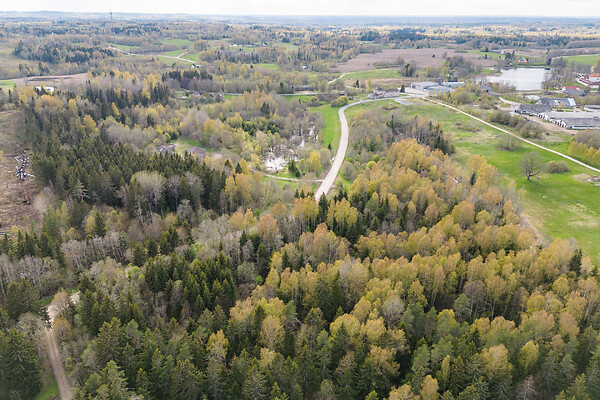 Võrumaa, Rõuge vald, Ruusmäe
