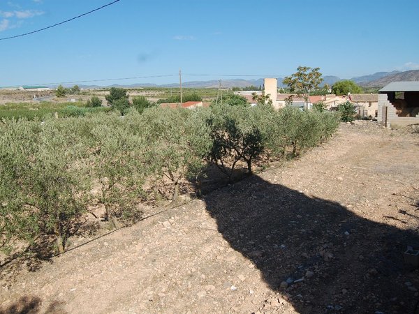 Caravaca de la Cruz,  ES