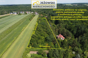 Nałęczów