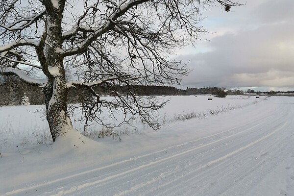 Harjumaa, Kuusalu vald, Rummu, Kivinaeri