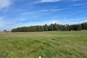 Piotrków Trybunalski
