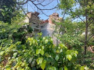 Loreto,  IT