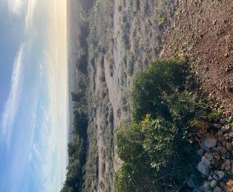 Boliqueime,  PT