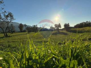 Isernia,  IT